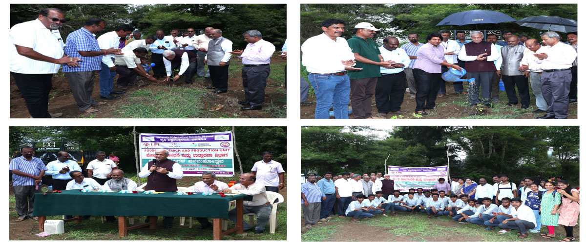 Fodder Tree Plantation Campaign, at UAS, Dharwad